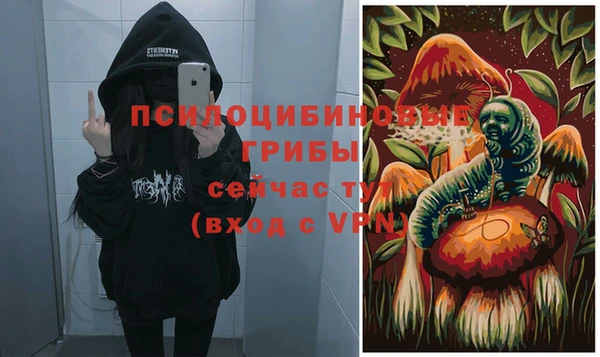 экстази Армянск