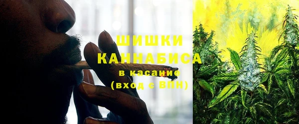 амф Алзамай